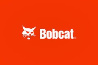 Bobcat